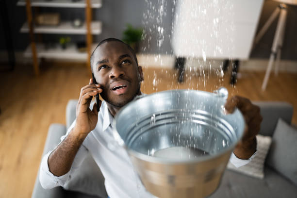 Best Residential water damage restoration  in Helena Valley Southeast, MT
