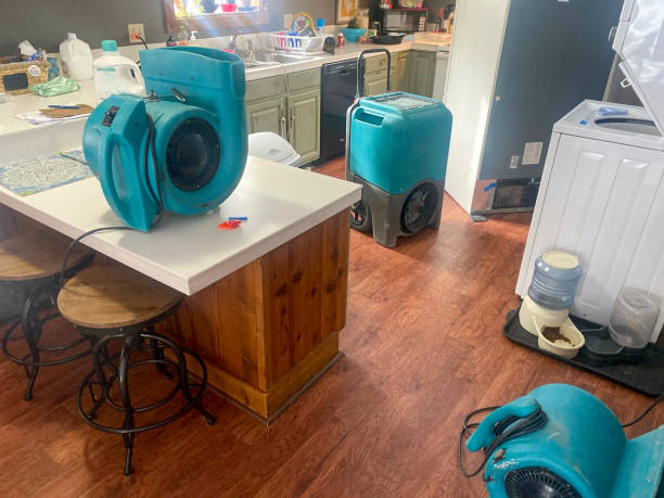 Best Water damage cleanup near me  in Helena Valley Southeast, MT