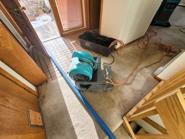 Best Residential water damage restoration  in Helena Valley Southeast, MT