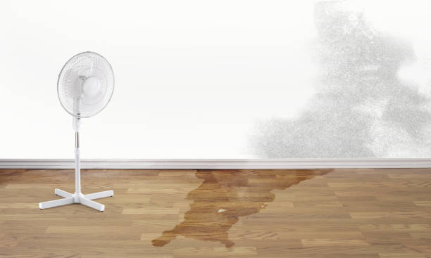 Best Ceiling water damage repair  in Helena Valley Southeast, MT