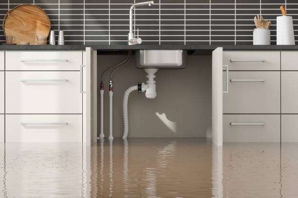Best 24/7 water damage repair  in Helena Valley Southeast, MT
