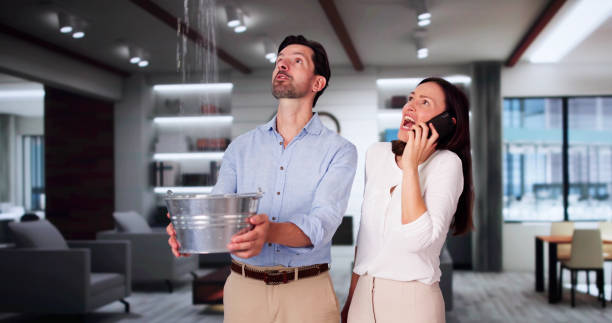 Best Water damage cleanup near me  in Helena Valley Southeast, MT